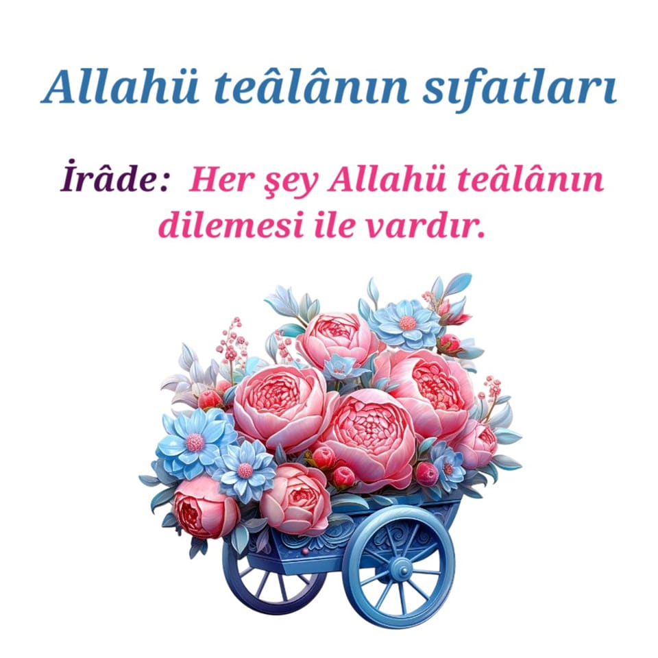 İrade (5)